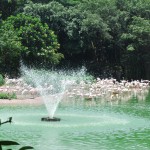 Vogelpark Singarpur
